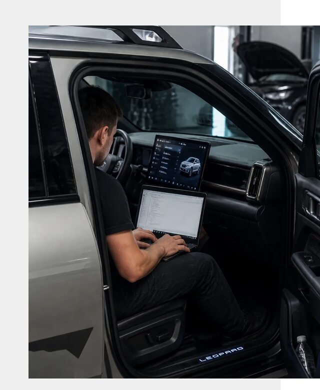 Русификация BYD Leopard 3 в Чусовой по цене от 20792 р. | ФастМобиль-Чсв